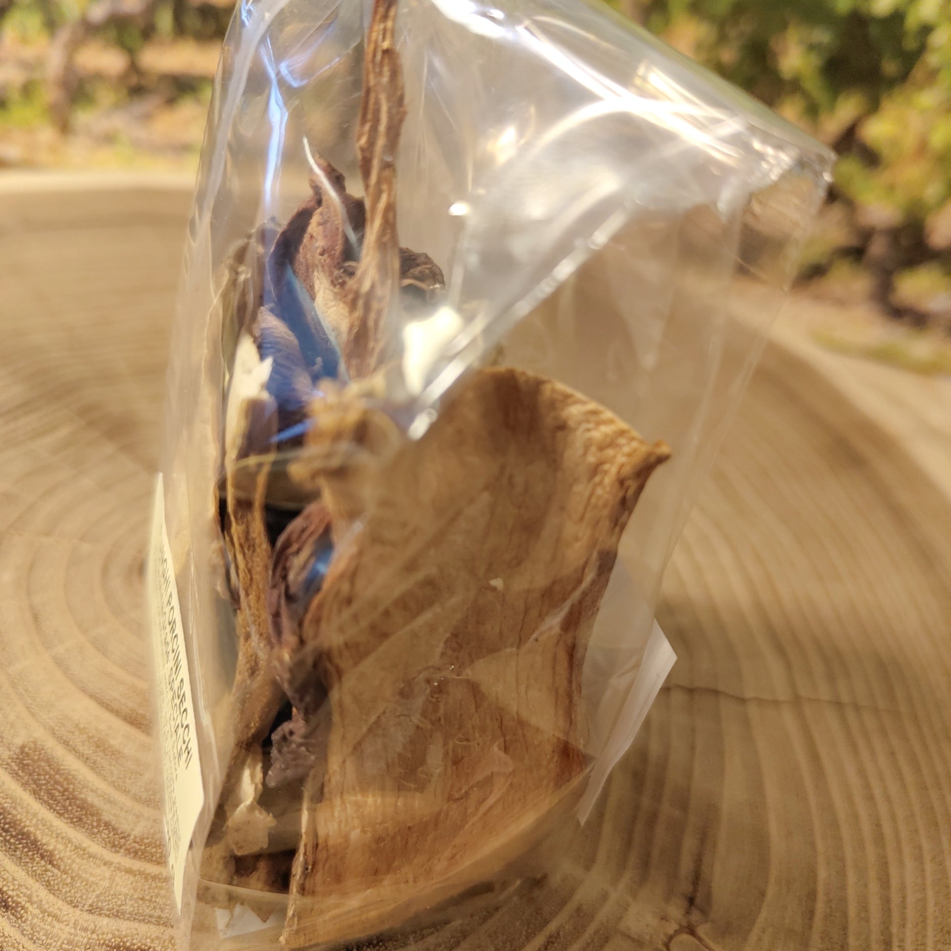 Funghi Porcini secchi in sacchetto SPECIALE 20g.
