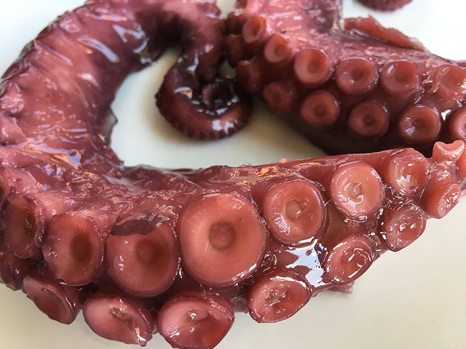 Tentacoli di Polpo precotto di circa 200g (scadenza 12/01/2023)