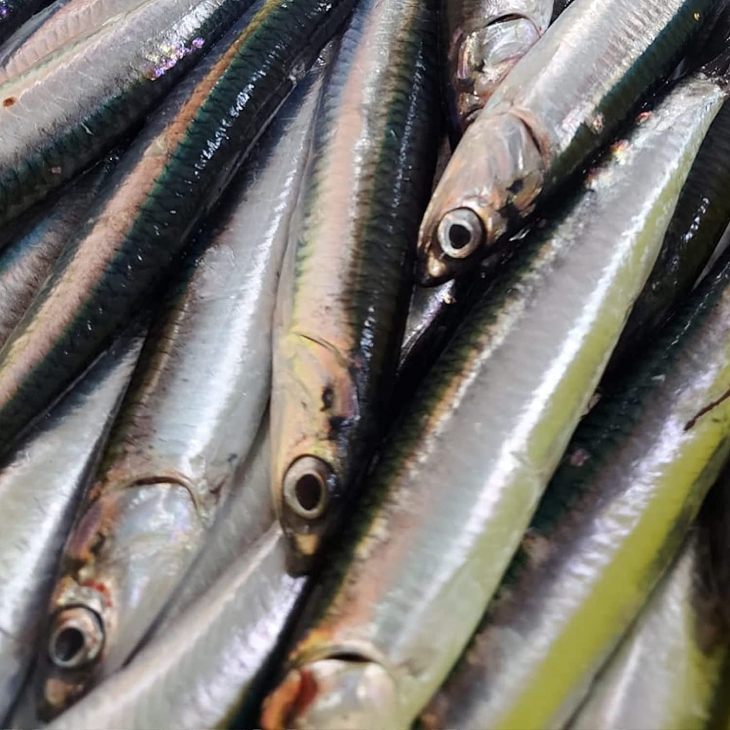 Acciughe sotto Sale del Mar Cantabrico GRAN RESERVA Rezumar da 5kg