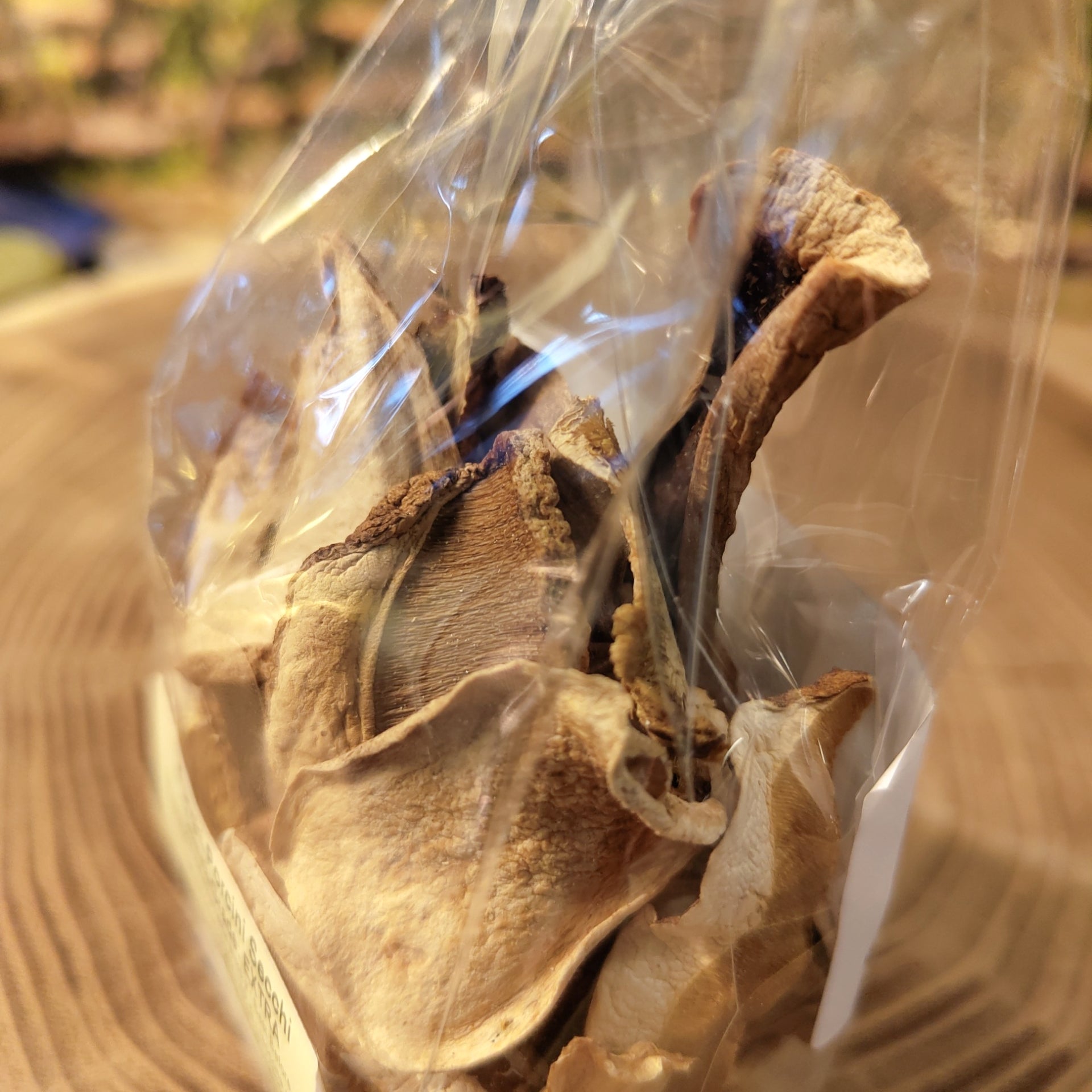 Funghi Porcini secchi in sacchetto EXTRA 20g.