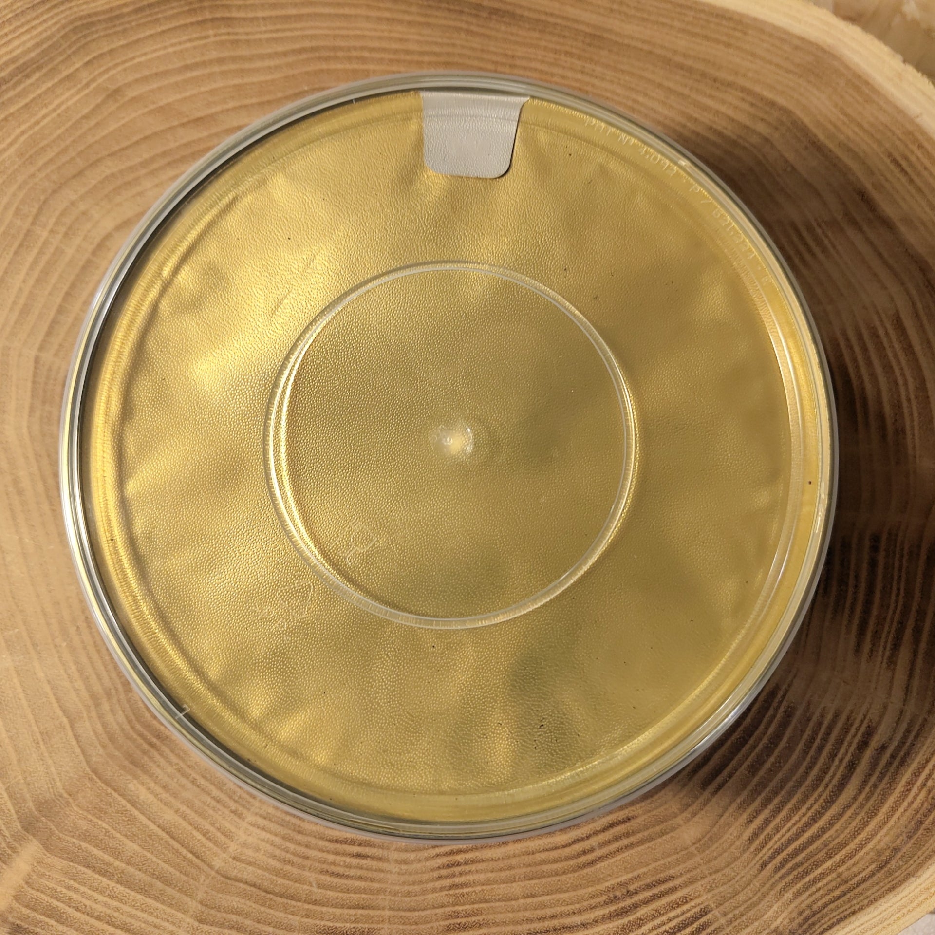 Ventresca Di Tonno Pinna Gialla In Olio Di Semi Atun Claro 850g/555g