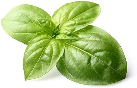 Perle al Basilico - Condimento incapsulato a base di Olio al Basilico 50g