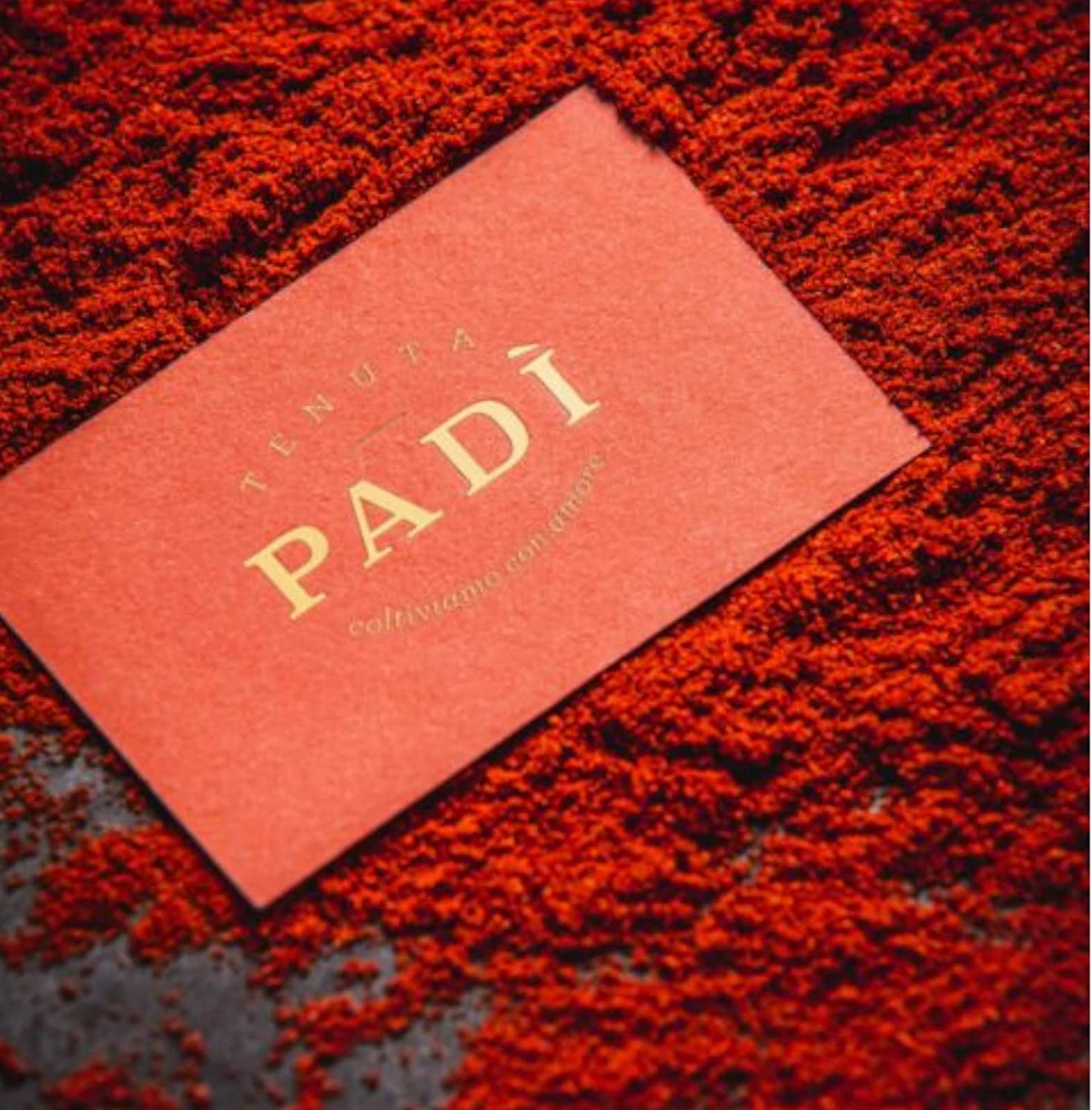 Peperone Crusco di Senise 100 g macinato